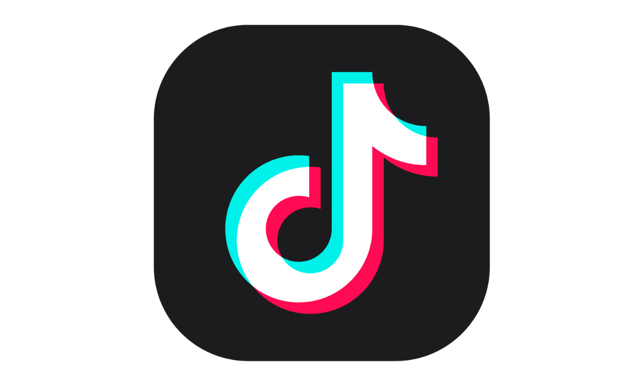 does tiktok count your own views